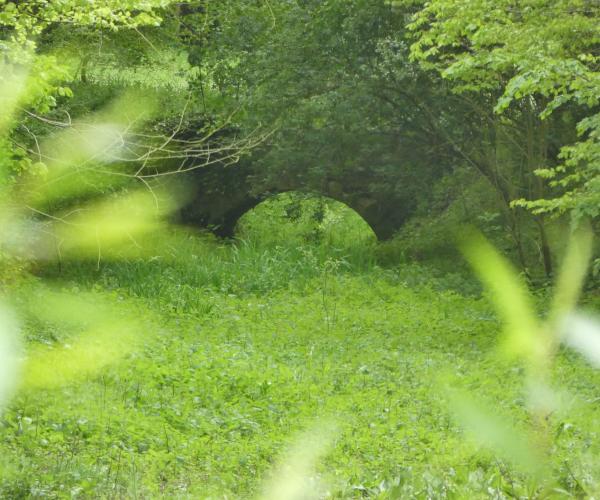 •Hervé CHARLOT - Petit pont entouré de verdure à Brouay