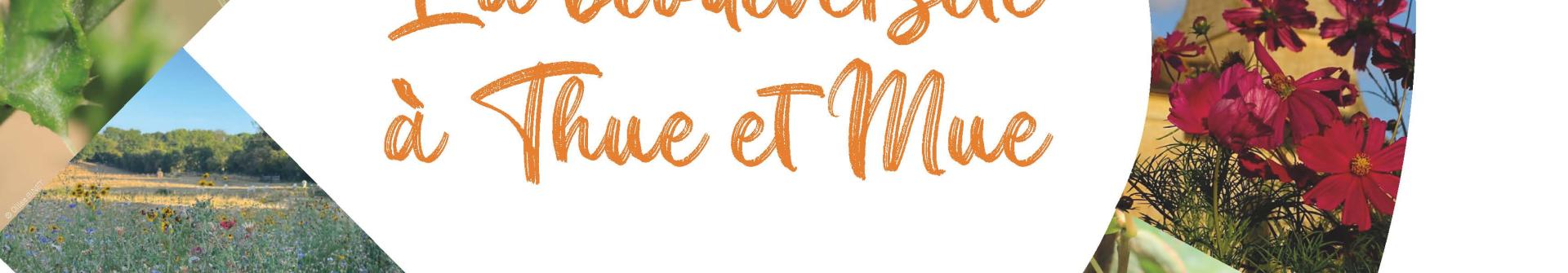 L'Atlas de la Biodiversité Communale
