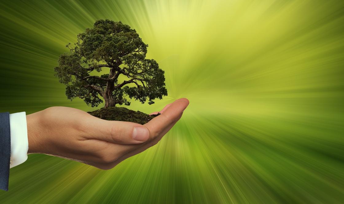 Environnement